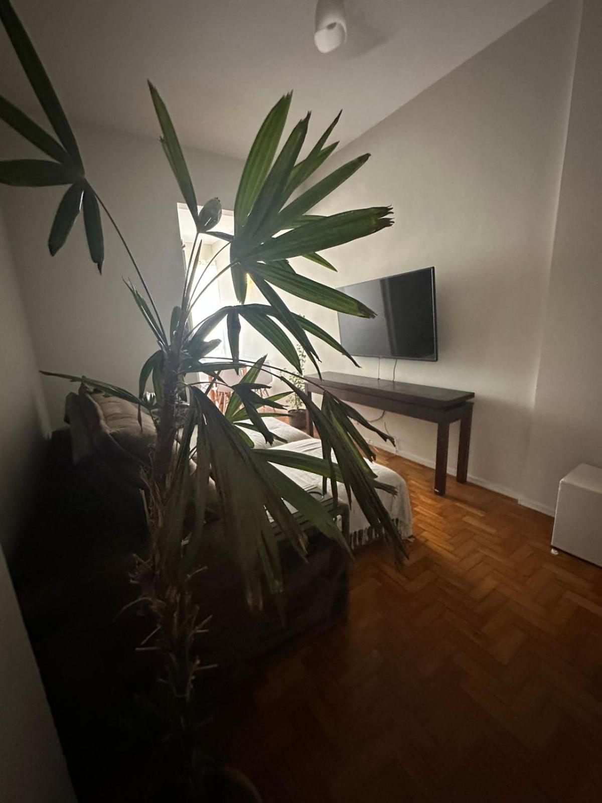 Appartement Copainhanga 3 Quartos Amplo